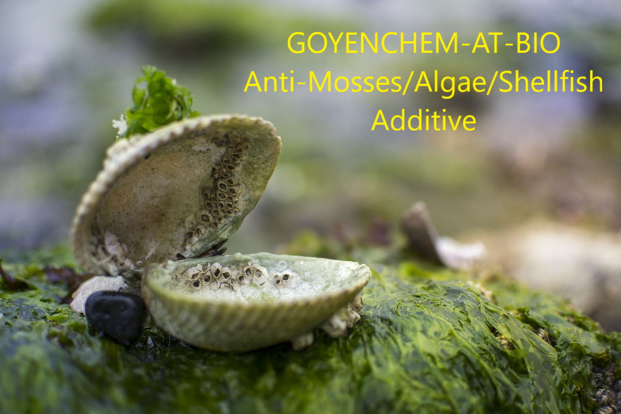 GOYENCHEM-AT-BIO Anti-Mosses, Algae, Shellfish Additive